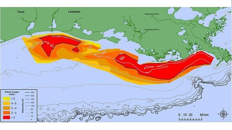 Zona muerta Golfo Mexico