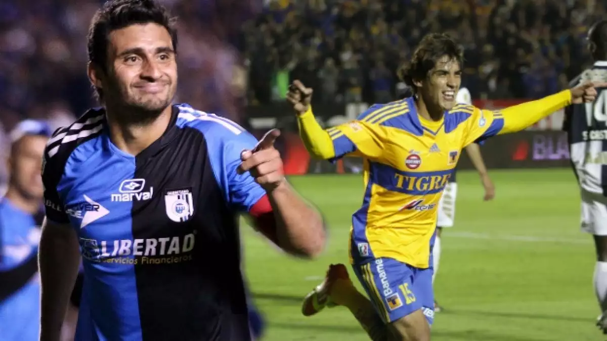 tigres