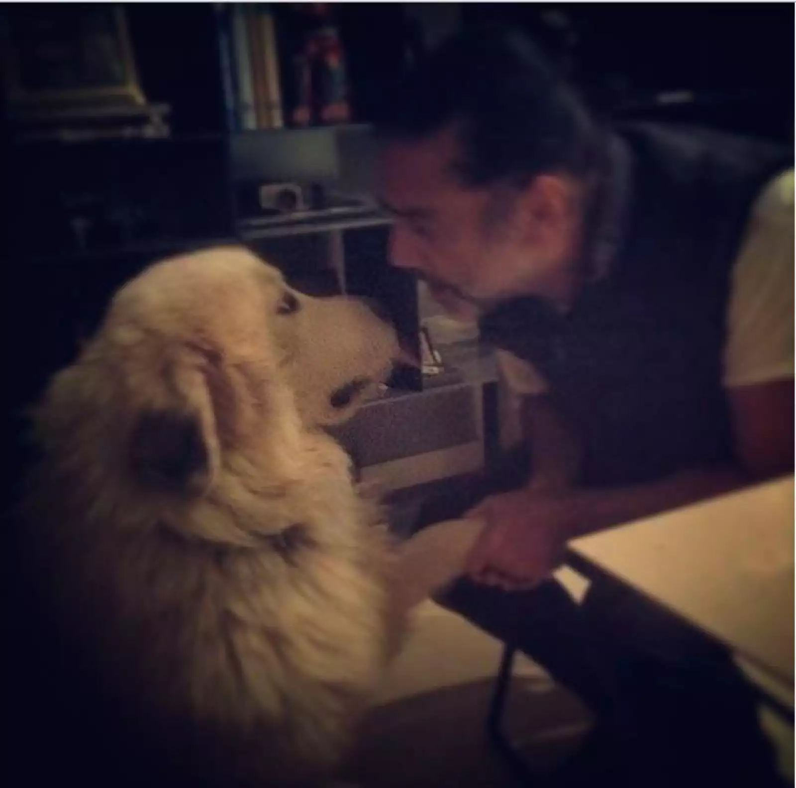 Es evidente el cariño y la comunicación que hay entre El Potrillo y sus mascotas.