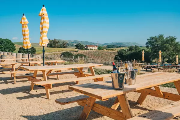 Wine tasting