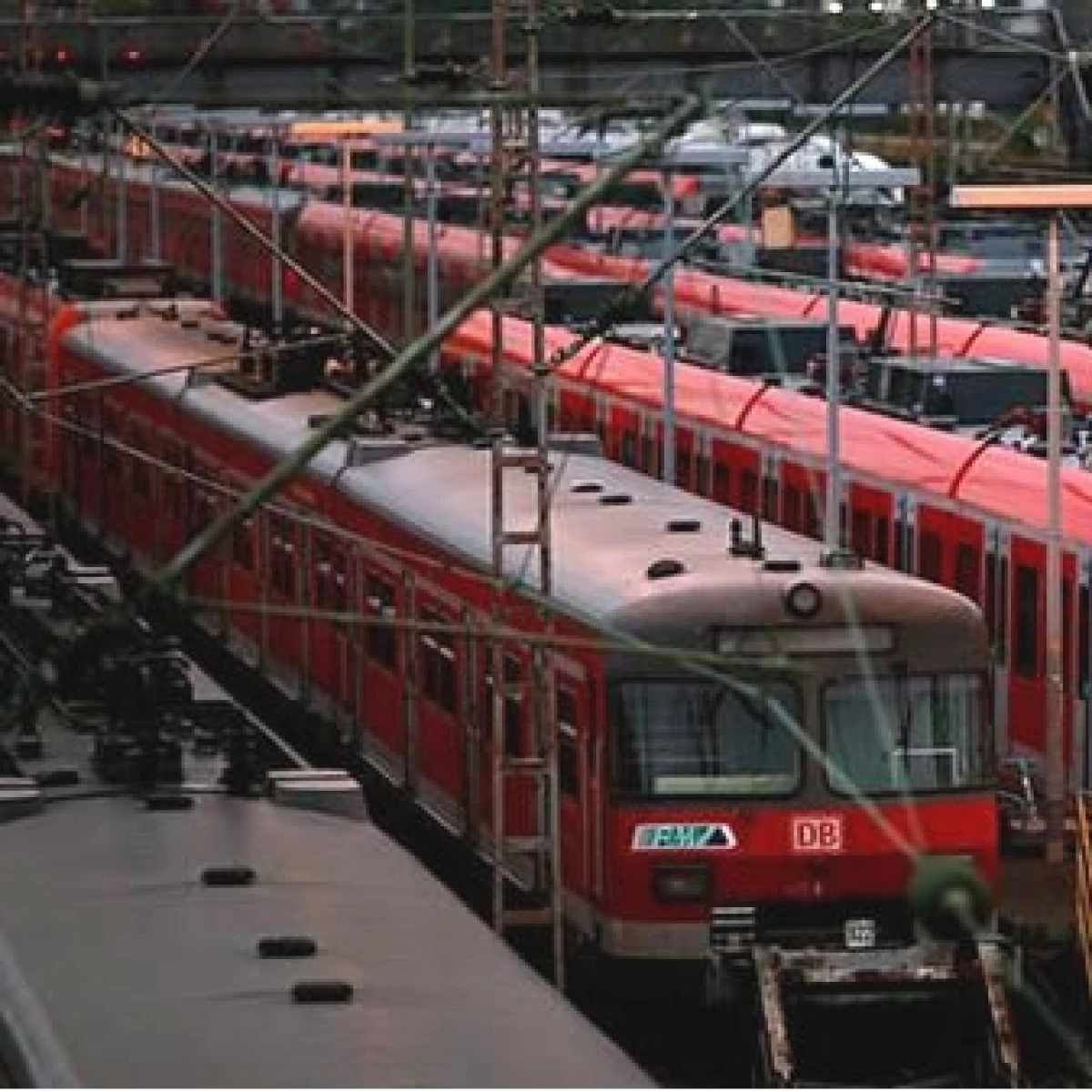 LOG Tren DB