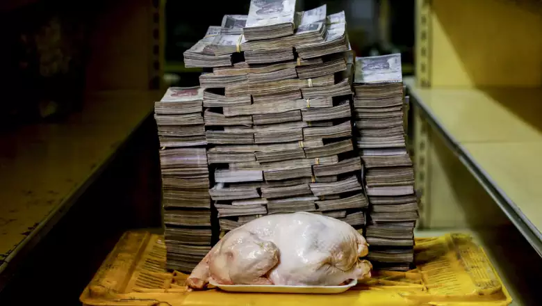 Pollo