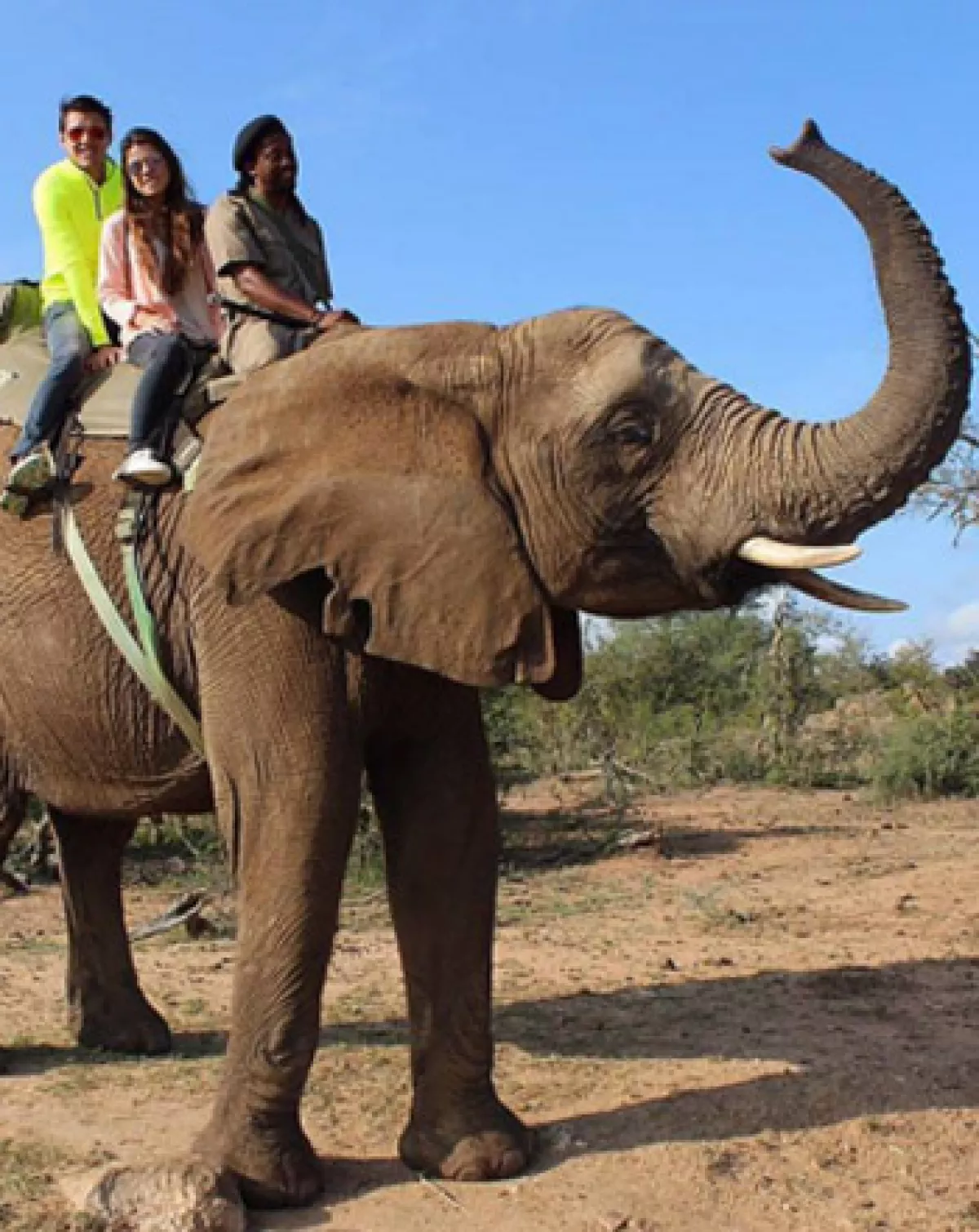 Fernando Tena y Paulina Peña