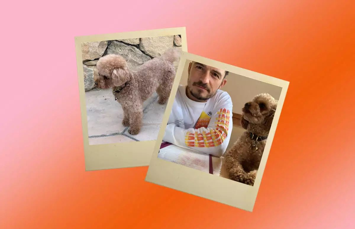 orlando-bloom-perro.jpg