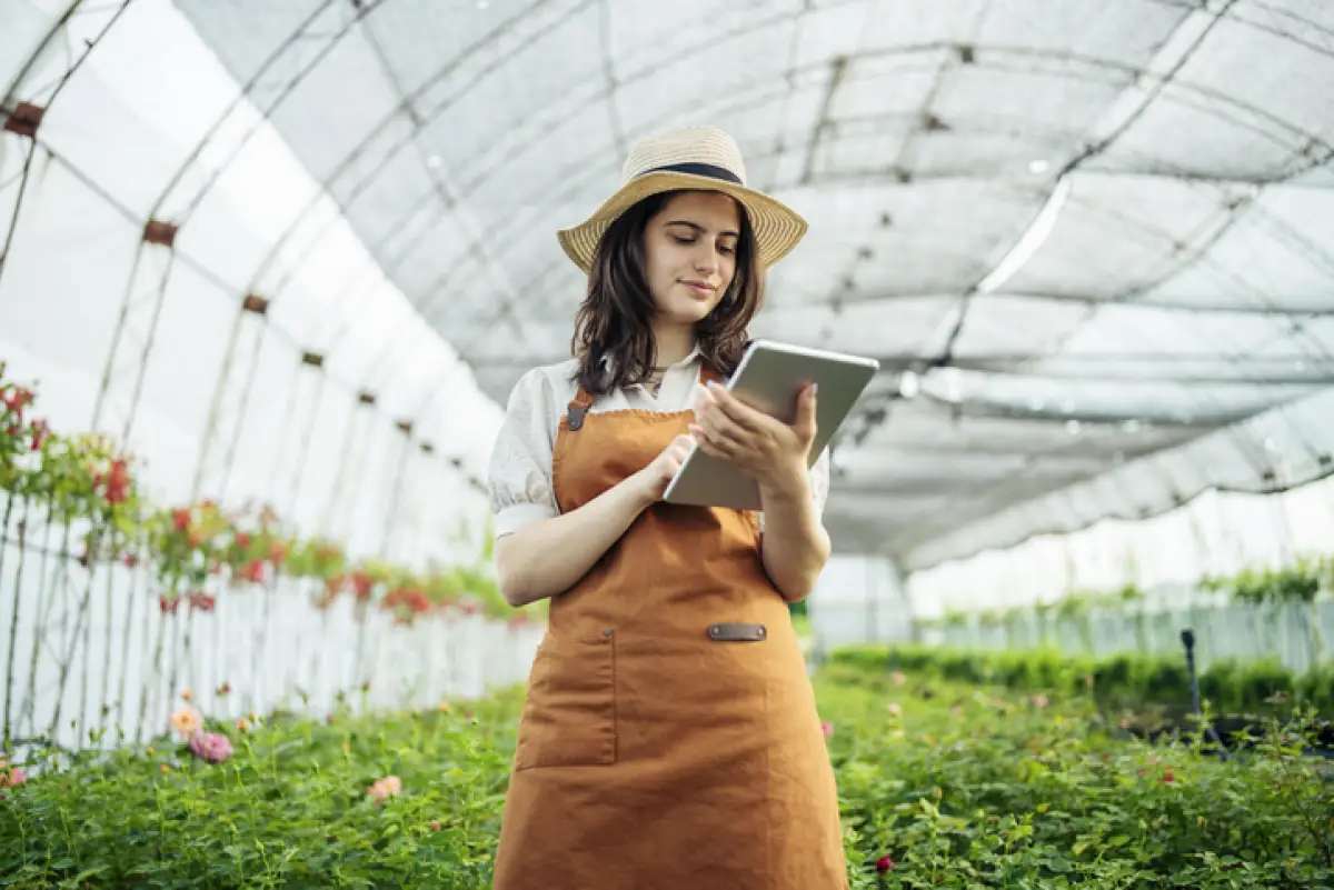 Así buscan reducir el fracaso de los emprendimientos con inversión desde la universidad