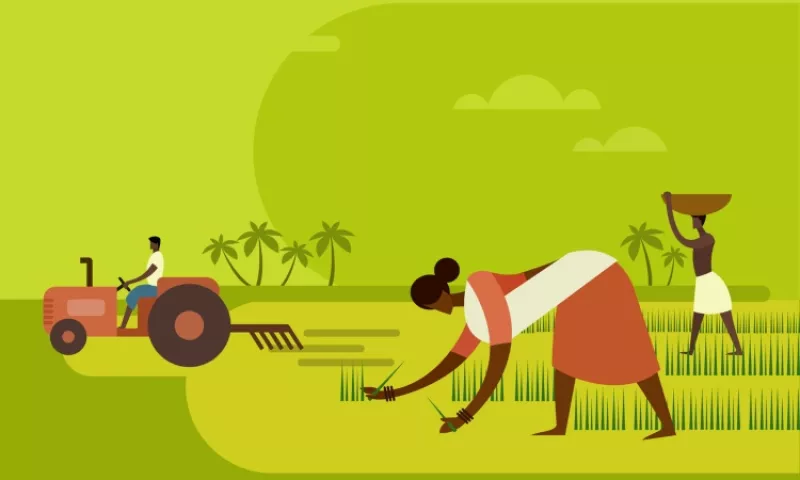 Así trabajan las jornaleras para mantener a su familia