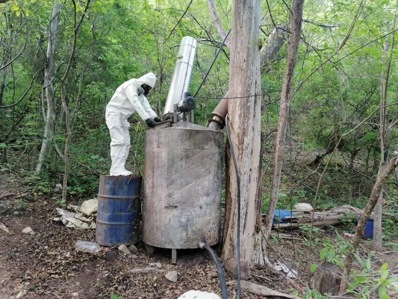 laboratorios en sinaloa 