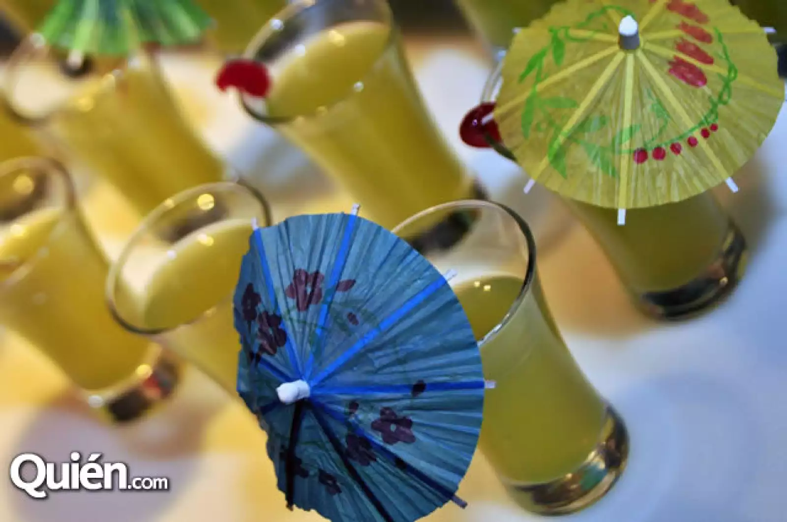 Festival Food and Wine por Pronatura