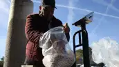 Un hombre pesa frijoles en una báscula.