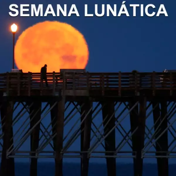 semana lunatica