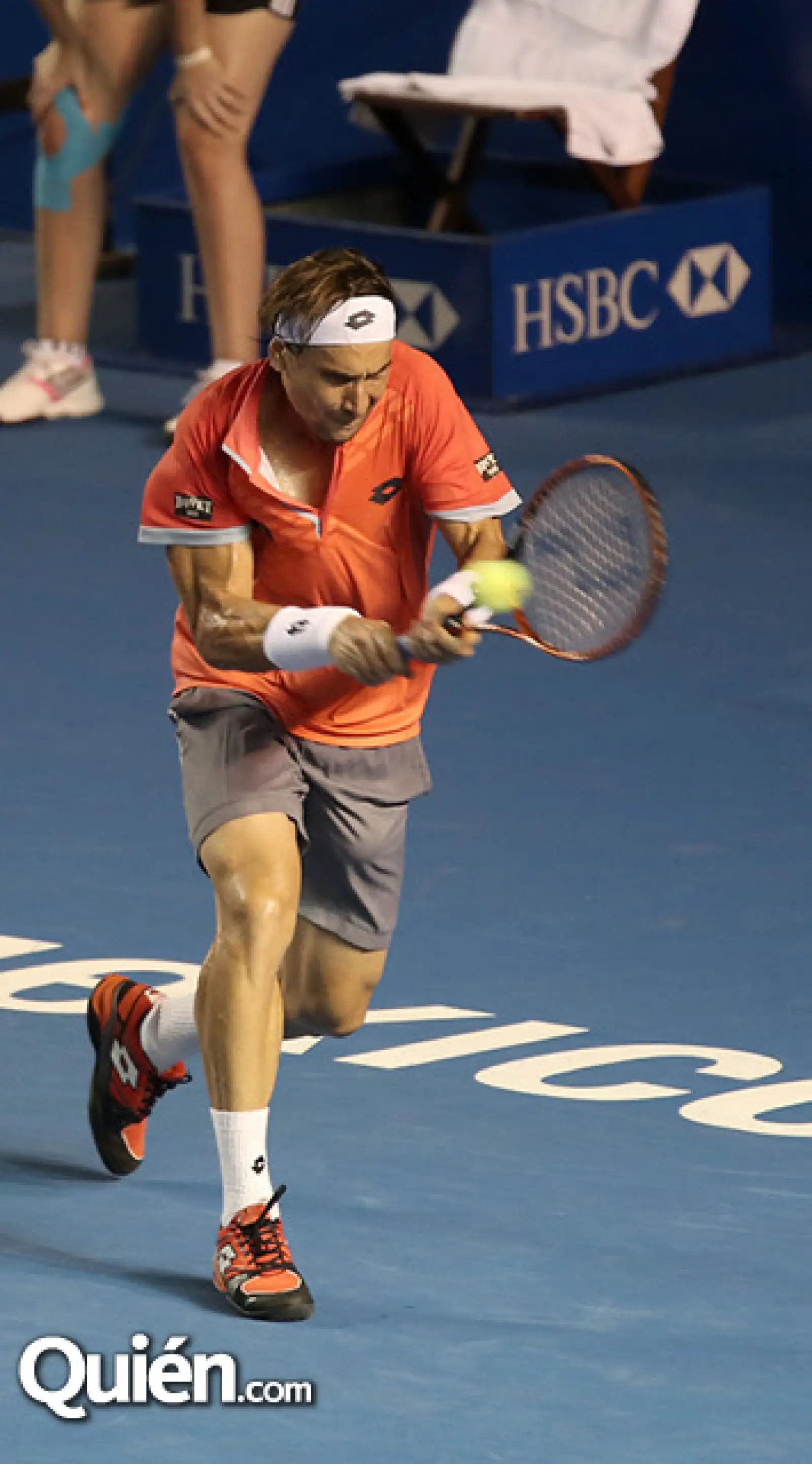 David Ferrer