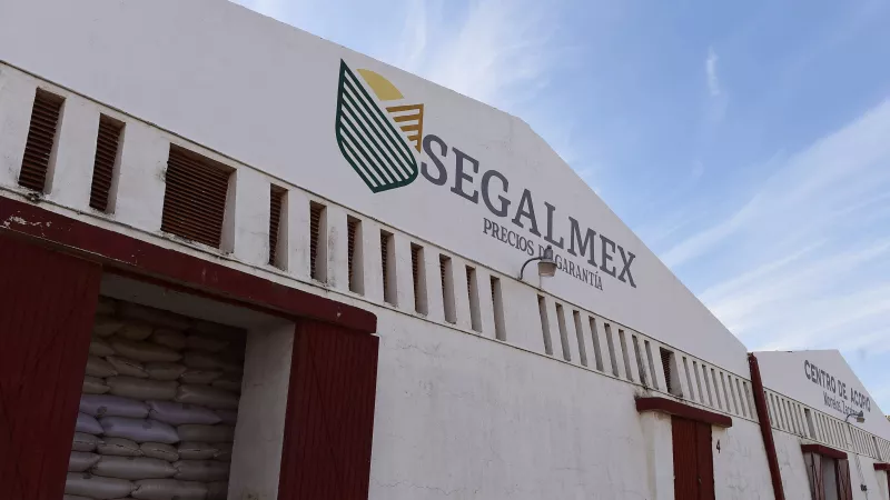 Segalmex encabeza las irregularidades detectadas por la ASF