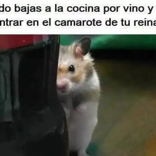 Memes Game of Thrones