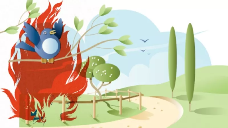 Twitter crisis redes sociales