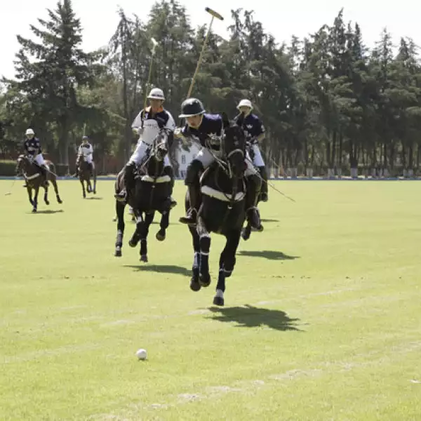 Torneo de Polo