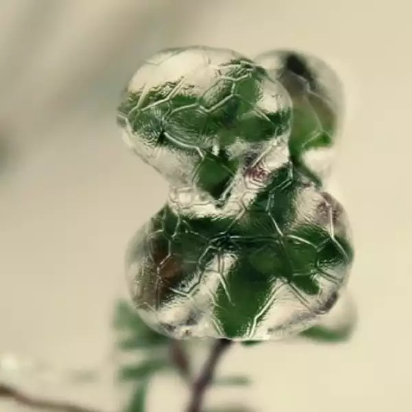 fotografias nieve hielo