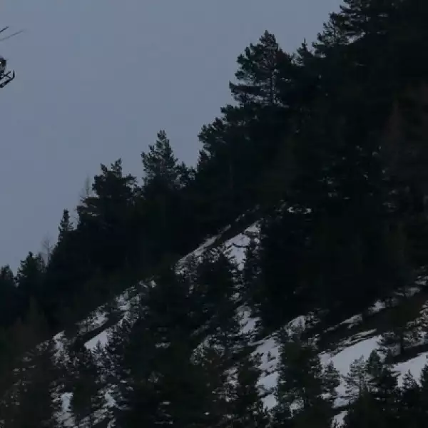 Un helicóptero de la Gendarmería francesa vuela sobre los Alpes franceses durante una operación cerca del lugar del accidente. 
