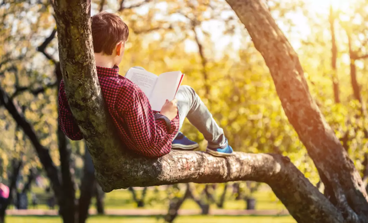 Cute boy reading a book sitting in the park at sunset