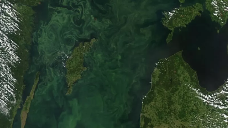 zonas muertas mar báltico