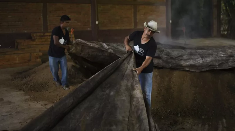 aumento al salario mínimo 2023