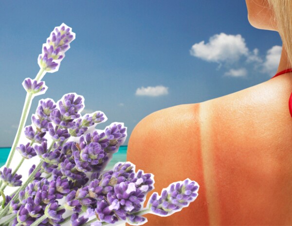 La lavanda tiene propiedades que ayudan a la piel a regenerarse después de una quemadura.