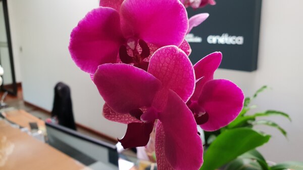 Las fotos del Galaxy S9