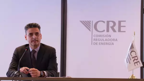 Guillermo García Alcocer