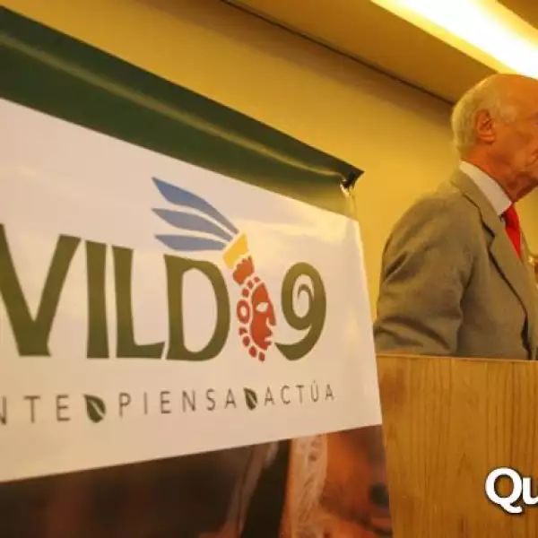 WILD 9