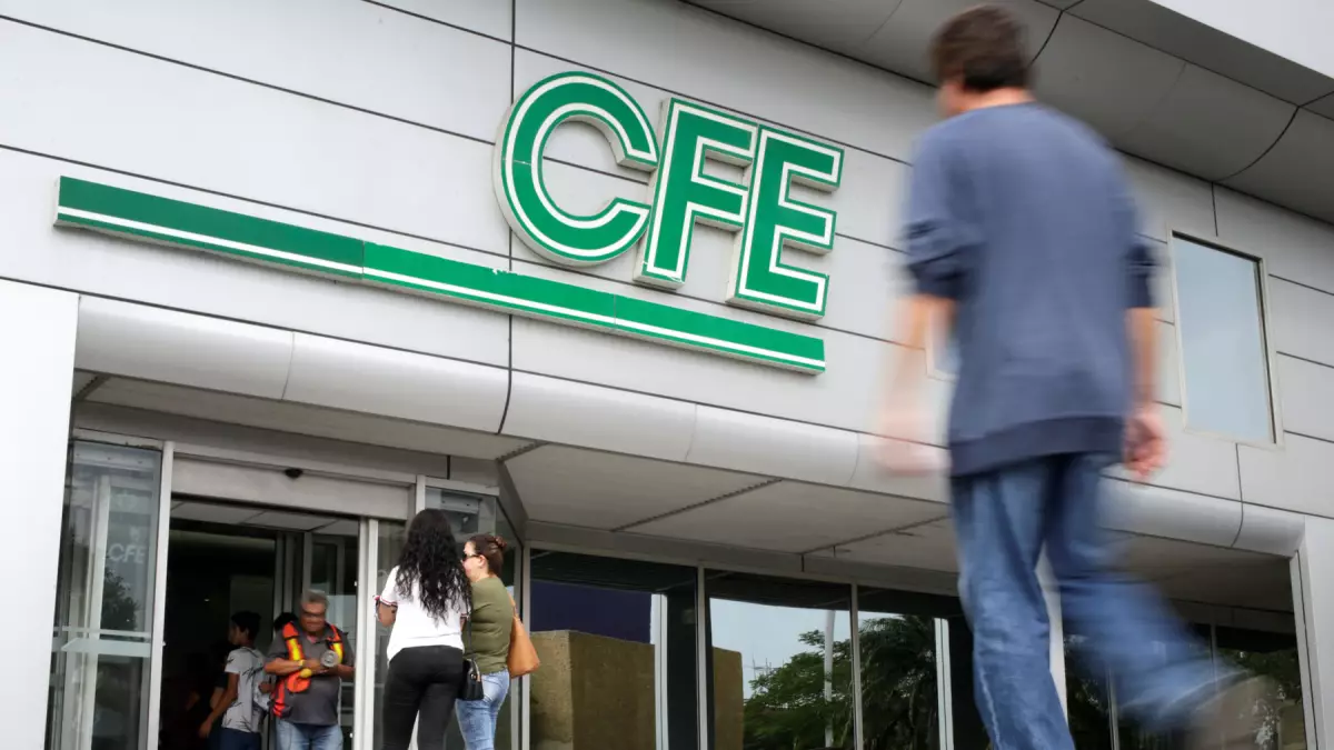 CFE y Fibras