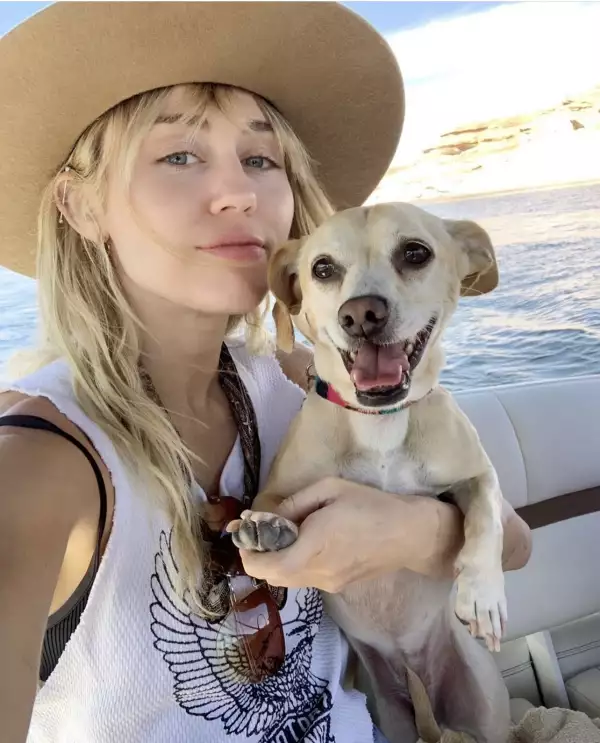 Miley Cyrus es amante de los animales