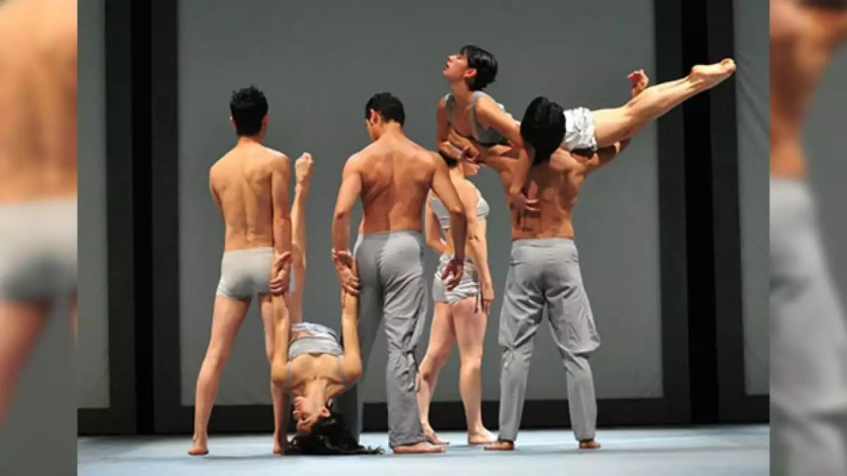 agrupacion de danza contemporanea