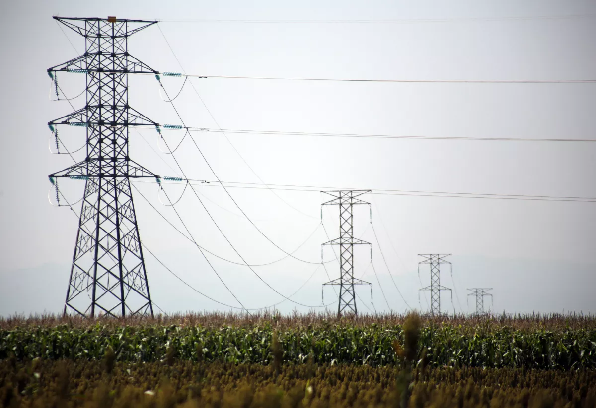 CFE pérdidas diagnóstico.