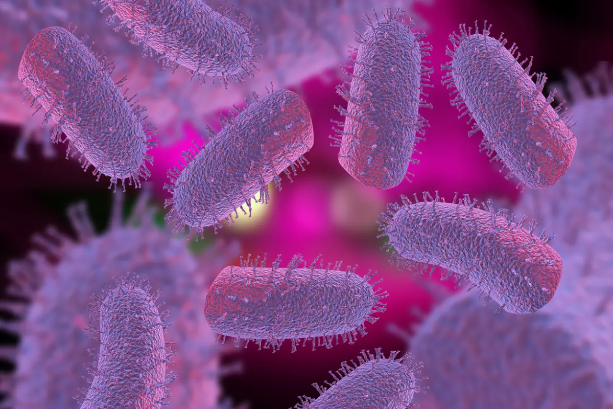 virus-marburgo-sintomas