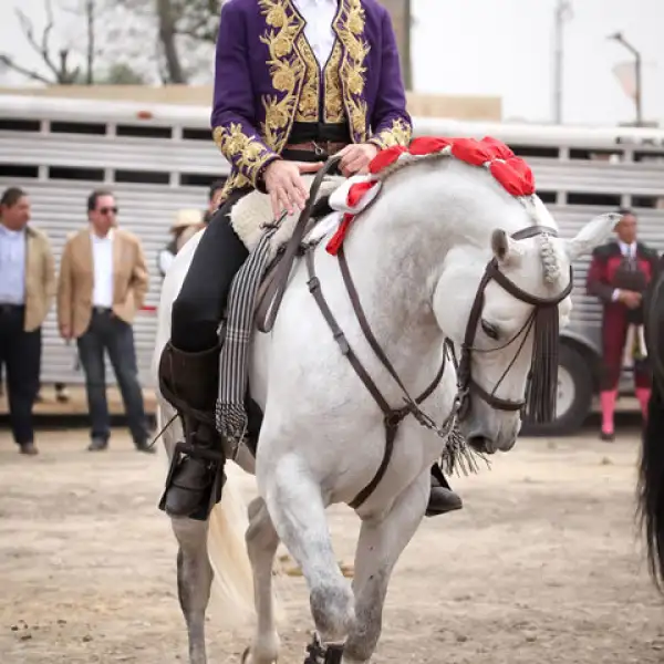 Pablo Hermoso de Mendoza