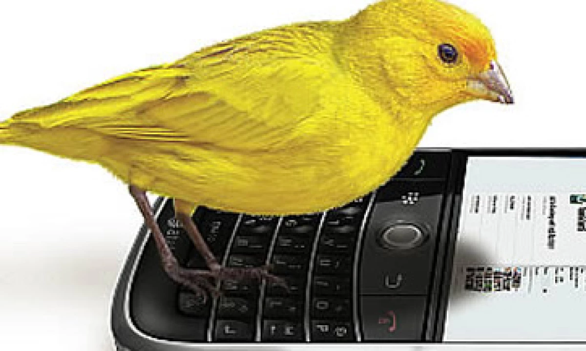 Brasil tiene una penetración de Internet superior a 60% de la población, por poco más de 40% de México. (Foto: Archivo)