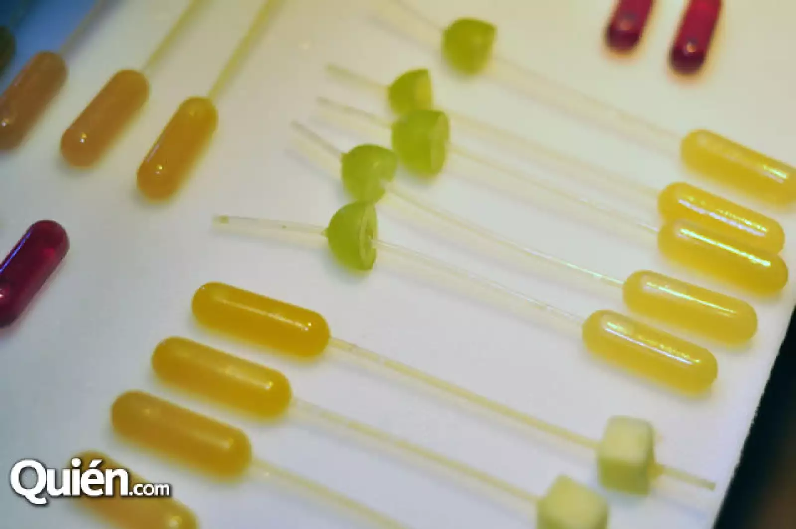 Festival Food and Wine por Pronatura