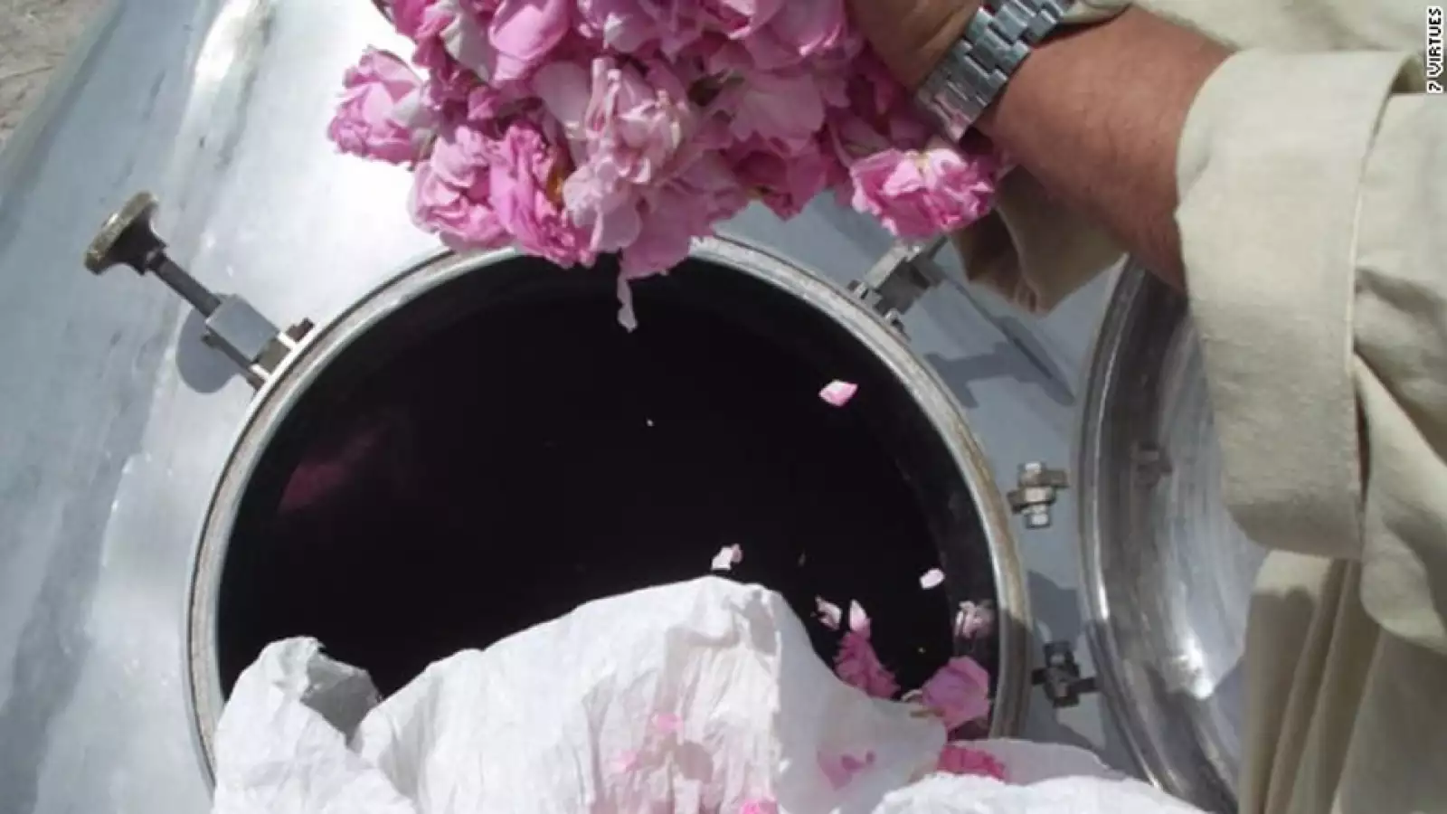 7 Virtudes esencias Stegemann 2