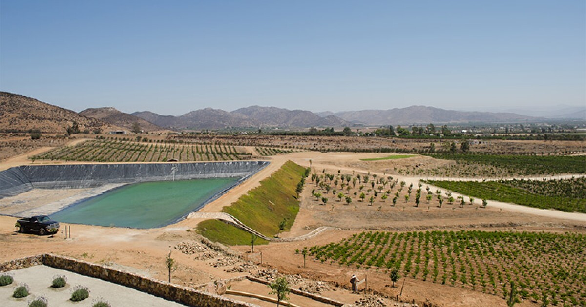 Vinicolas Que Debes Conocer En El Valle De Guadalupe