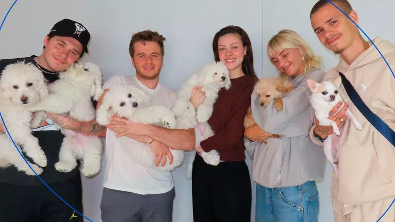 Los Beckham Peltz comparten a seis perritos.