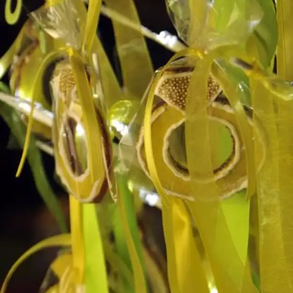 Bienvenida y Fiesta de compromiso