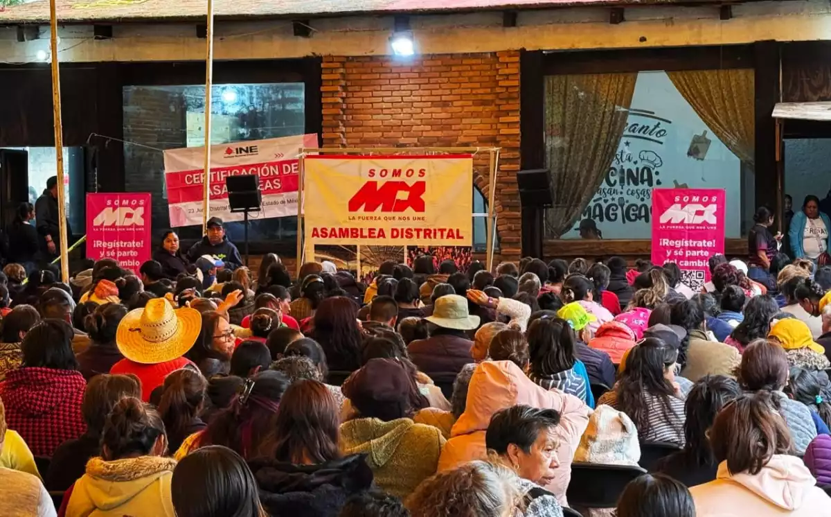 somos-mx-asamblea-organizacion-partido-formacion-marea-rosa