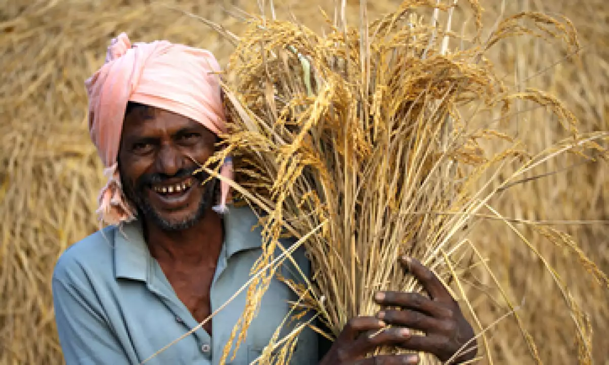 El Banco Mundial advierte que para 2050 la producción agrícola tendrá que incrementarse en un 70%. (Foto: Getty Images)