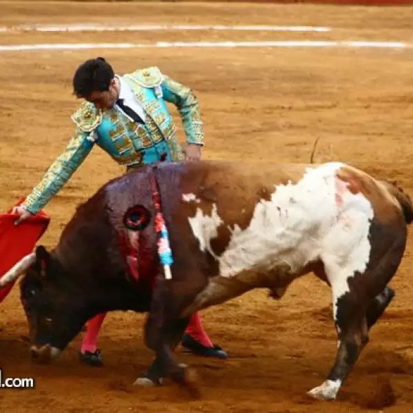 2da fecha toros