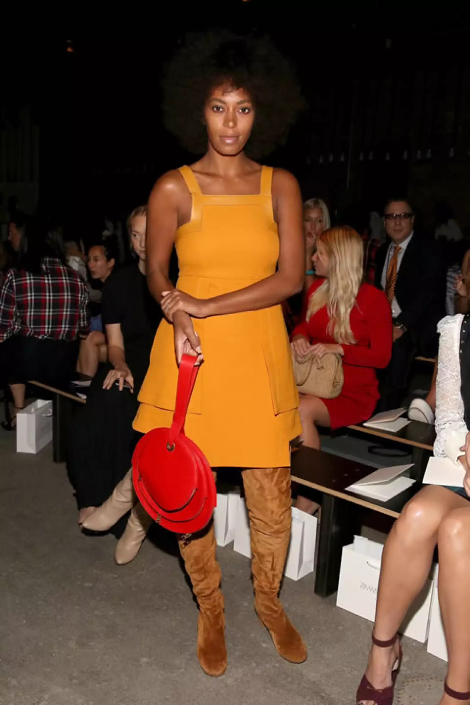 Solange Knowles fue una de las A-listers en el show de Zimmermann.