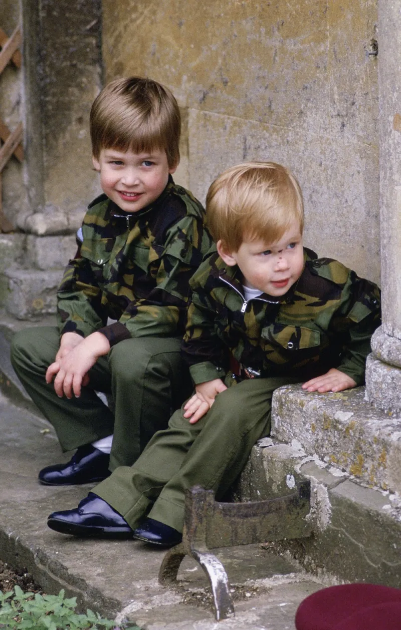 Príncipe William y el príncipe Harry