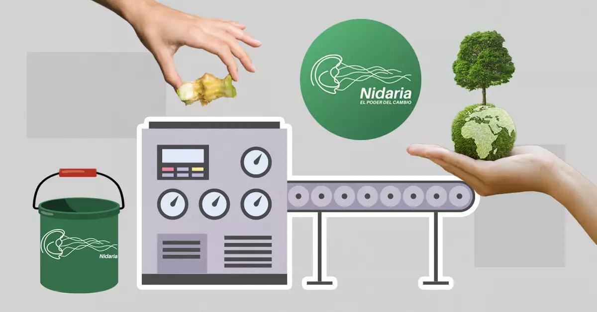 Nidaria, la startup mexicana que transforma los desechos en comida para animales