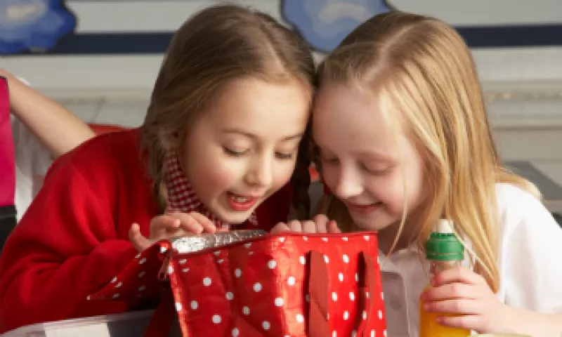 Por el momento, el servicio sólo se ofrece a escuelas privadas, parroquiales, campamentos y guarderías. (Foto: Shutterstock)