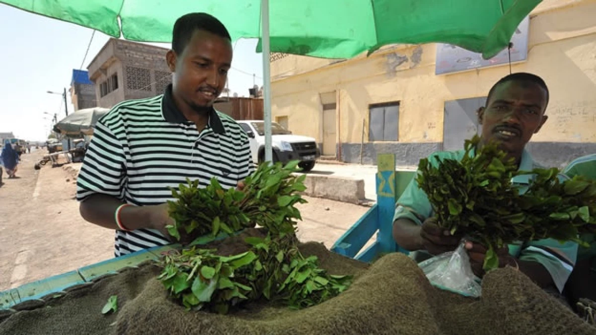 Un par de africanos compran khat en un mercado local