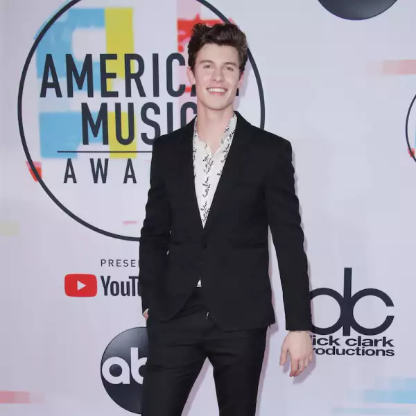 Los mejores looks de los American Music Awards 2019