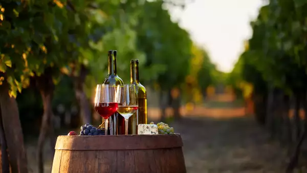 Productores de vino mexicano buscan impulsar su crecimiento. (iStock)